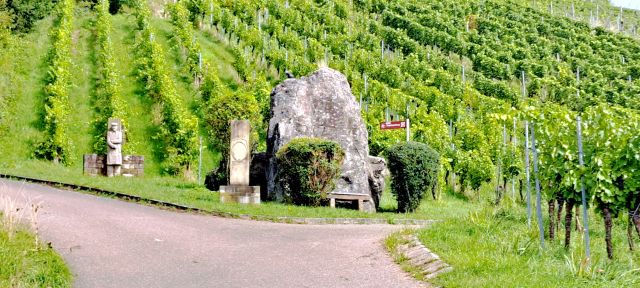 Weinberge bei Schnait