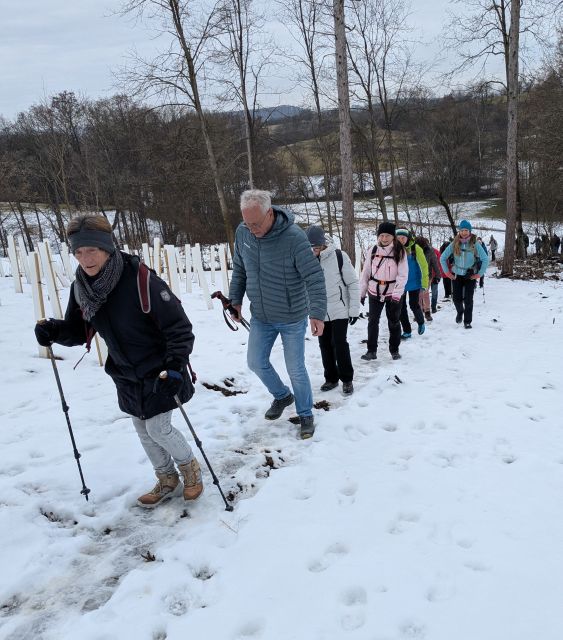 Auf dem Weg zum Kugelnest